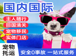 禄口机场邮寄国际宠物托运 【国